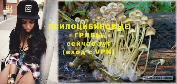 амф Балахна