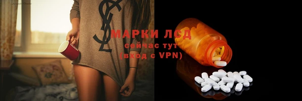 дурь Аркадак