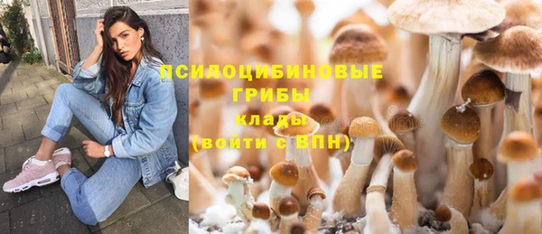 ГАЛЛЮЦИНОГЕННЫЕ ГРИБЫ Балабаново