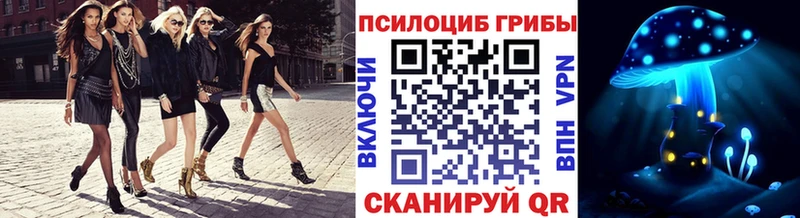 Псилоцибиновые грибы мицелий  наркошоп  Гремячинск 